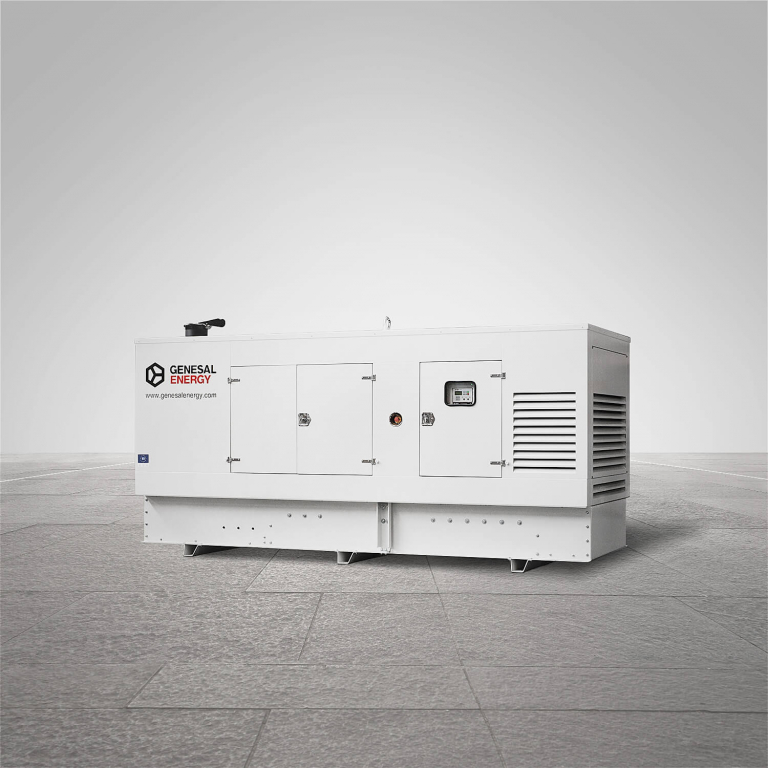 Genesal Energy Electrical Generator, dual voltage and dual frequency