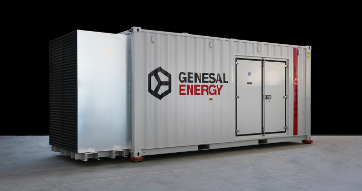 Power plant generator