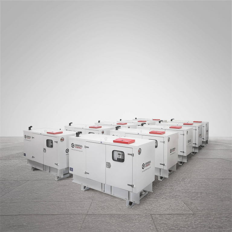 We supplied emergency generator sets to ten rural schools in Argentina