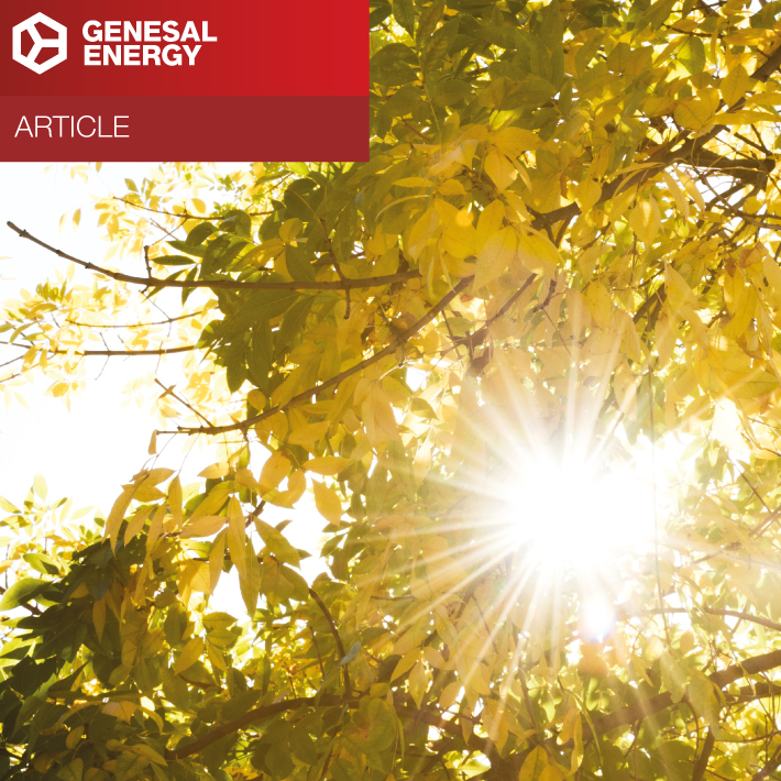 Article: Technology Trends for Generator Sets in 2025