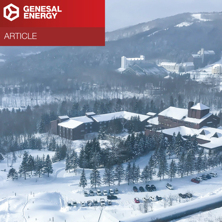 Preparing generators for extreme environments: deserts, arctic zones and more