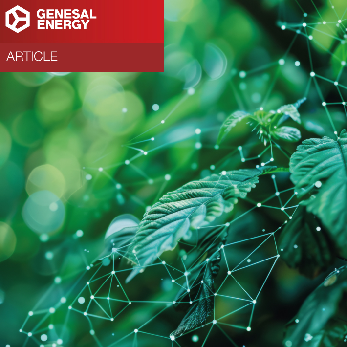 Article: Reducing emissions in diesel generator sets
