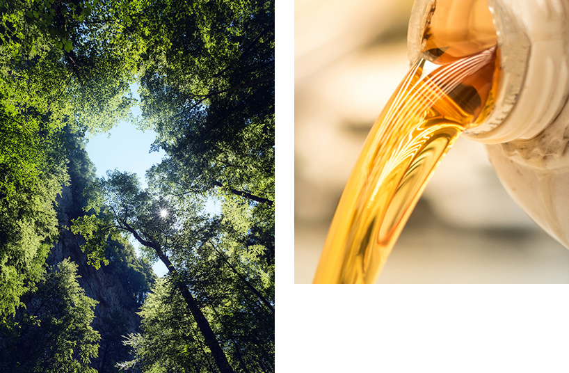 Sustainable HVO biofuel.