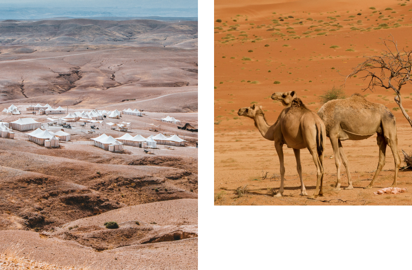 Desert camp and camels in arid environment, example of remote areas requiring autonomous power with generators