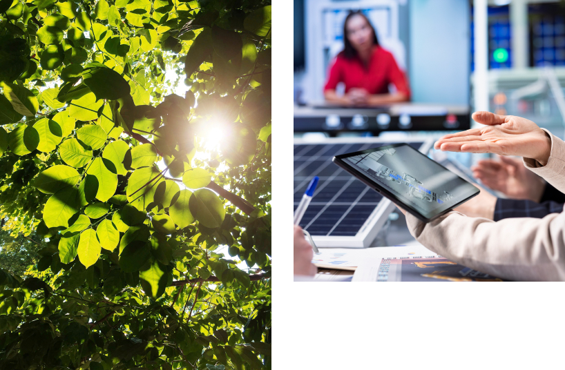 Nature and technology working together: sunlight through leaves and digital energy analysis in an industrial setting