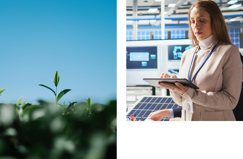 Nature and technology working together: sunlight through leaves and digital energy analysis in an industrial environment