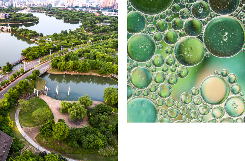 Sustainable urban environment