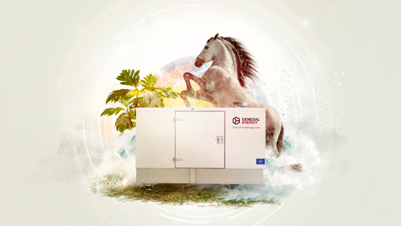 Genesal Energy generator with technologies to reduce emissions