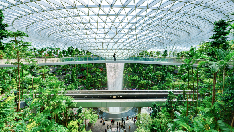 Interior of a space covered with vegetation 