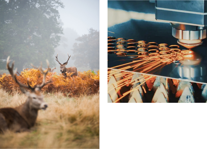 Wildlife in a natural environment and an industrial process with machinery.