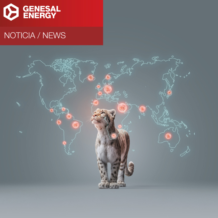 ge international thumbnail